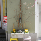 DSCN4424_JPG-1301895243