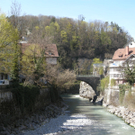 DSCN4432_JPG-1301895307