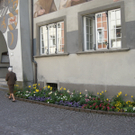 DSCN4442_JPG-1301895411