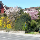 SH107159_JPG-1301895456