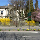 SH107169_JPG-1301895594