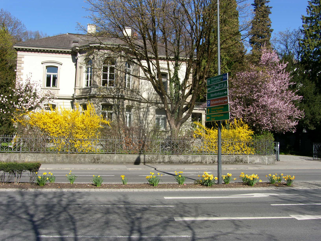 SH107169_JPG-1301895594