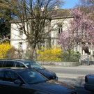 SH107165_JPG-1301895539
