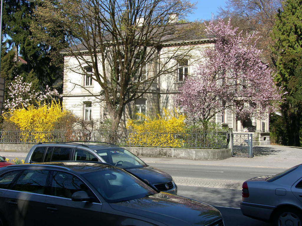 SH107165_JPG-1301895539