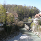 DSCN4433_JPG-1301895320