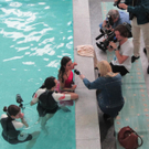 Fotograf Christian Scharl_ Miss Austria Carmen Stramboli _c_ Poolcity Gerasdorf.JPG
