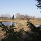 Obmannwechsel bei ornith. Verein