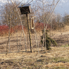 DSC06302.JPG