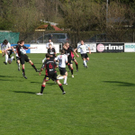 P4030066_JPG-1301926773