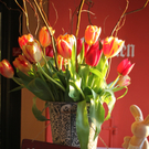Wein Gut Kost REINER NACH 2011 _16__jpg-1301933363