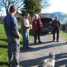 Baumschnitt in Buch 2011