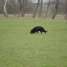 DSC00744.JPG
