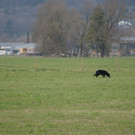 DSC00746.JPG
