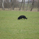 DSC00744.JPG