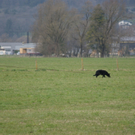 DSC00746.JPG