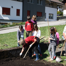 Bl__ten und OGV 165.JPG