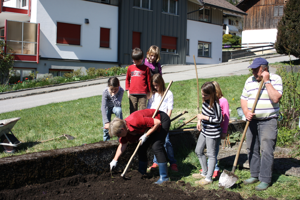 Bl__ten und OGV 165.JPG