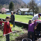 Bl__ten und OGV 150.JPG