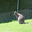 IMG_0537.jpg