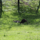 IMG_0533.jpg