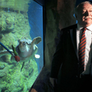 Bürgermeister Michael Häupl und Schildkröte "Puppi" im "Haus des Meeres"