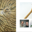 2011-0003-5.png