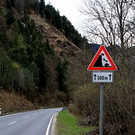 normal_05042011steinffaktivnws_16.jpg
