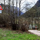 normal_05042011steinffaktivnws_18.jpg