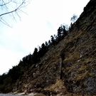 normal_05042011steinffaktivnws_25.jpg