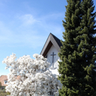 Fruehling Blumen April 2011 _7__jpg-1302105552