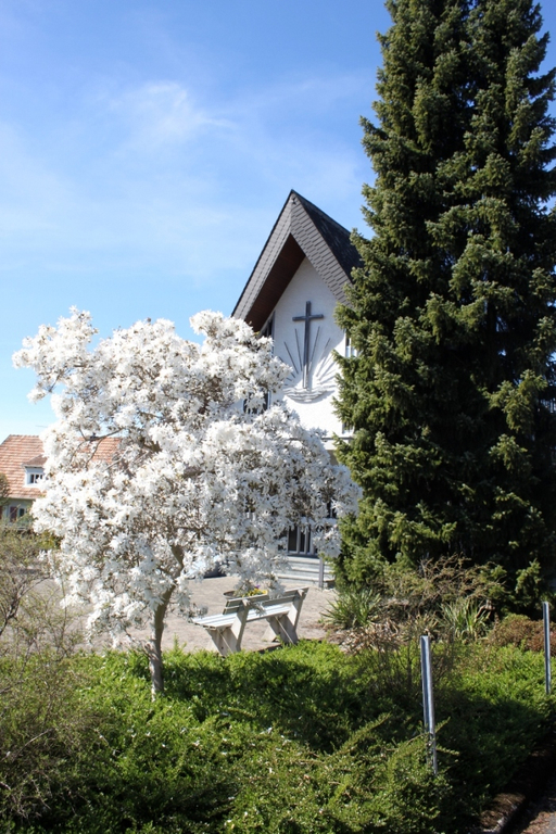 Fruehling Blumen April 2011 _7__jpg-1302105552