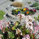 Fruehling Blumen April 2011 _8__jpg-1302105566