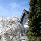 Fruehling Blumen April 2011 _9__jpg-1302105580