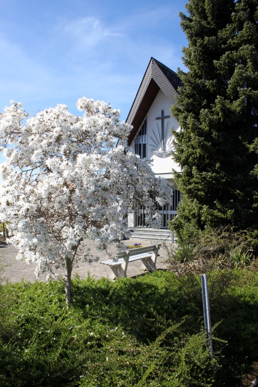 Fruehling Blumen April 2011 _9__jpg-1302105580