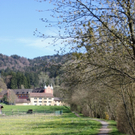 Fruehling Blumen April 2011 _13__jpg-1302105643