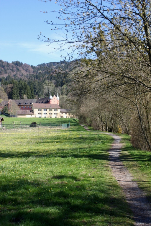 Fruehling Blumen April 2011 _13__jpg-1302105643
