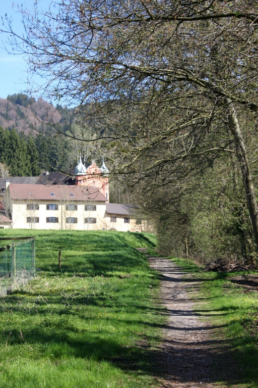 Fruehling Blumen April 2011 _14__jpg-1302105659