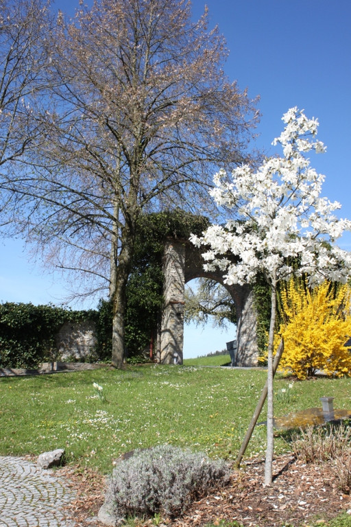 Fruehling Blumen April 2011 _17__jpg-1302105695