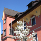Fruehling Blumen April 2011 _18__jpg-1302105706