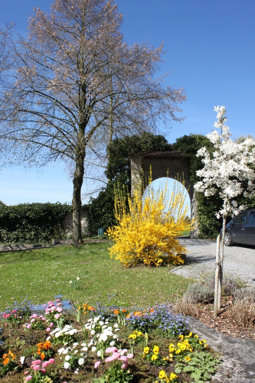 Fruehling Blumen April 2011 _19__jpg-1302105722