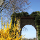 Fruehling Blumen April 2011 _20__jpg-1302105738