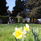 Fruehling Blumen April 2011 _38__jpg-1302105969