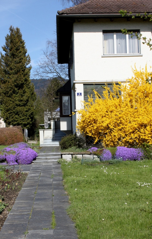 Fruehling Blumen April 2011 _39__jpg-1302105983