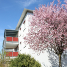 Fruehling Blumen April 2011 _44__jpg-1302106046