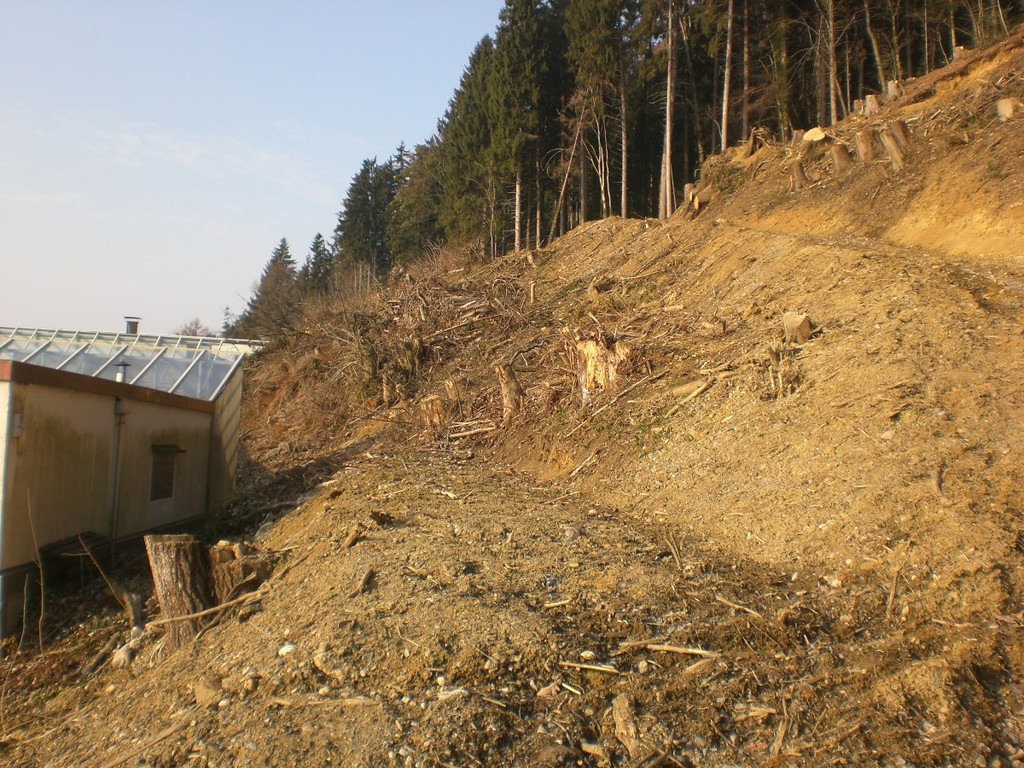 Neue Schanze Hangentwaesserung 2011 _31__JPG-1302107277