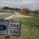 normal_06042011wtpapstschildaktivnews24.jpg