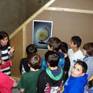 Bild 010_jpg-1302120119