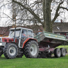 Mehr Bilder vom Stedepark und Co.