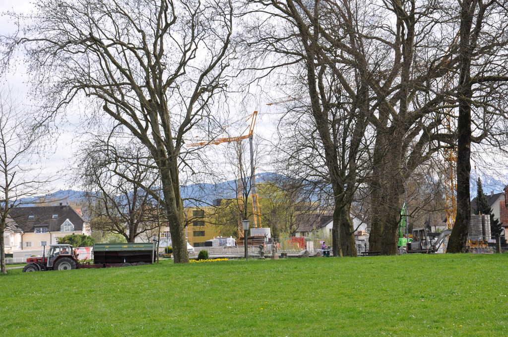 stedepark3_jpg-1302120267