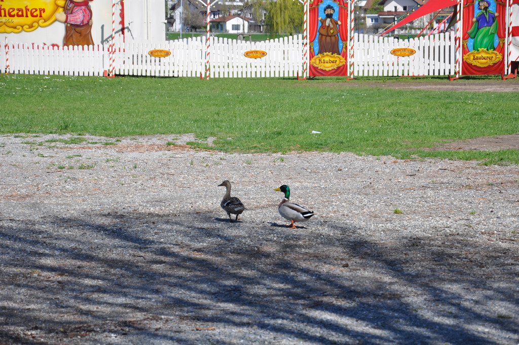 stedepark6_jpg-1302120348